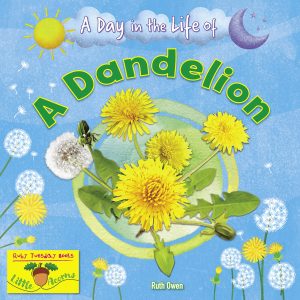 A Day in the Life of A Dandelion