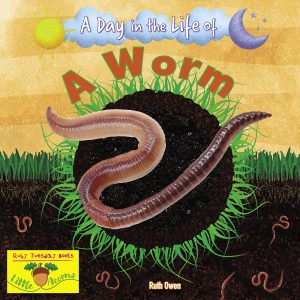 A Day in the Life of A Worm
