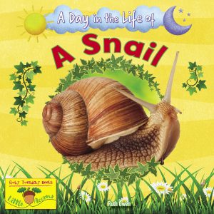 A Day in the Life Of A Snail