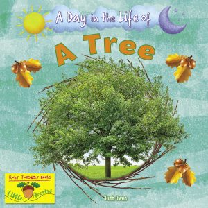 A Day in the Life Of A Tree