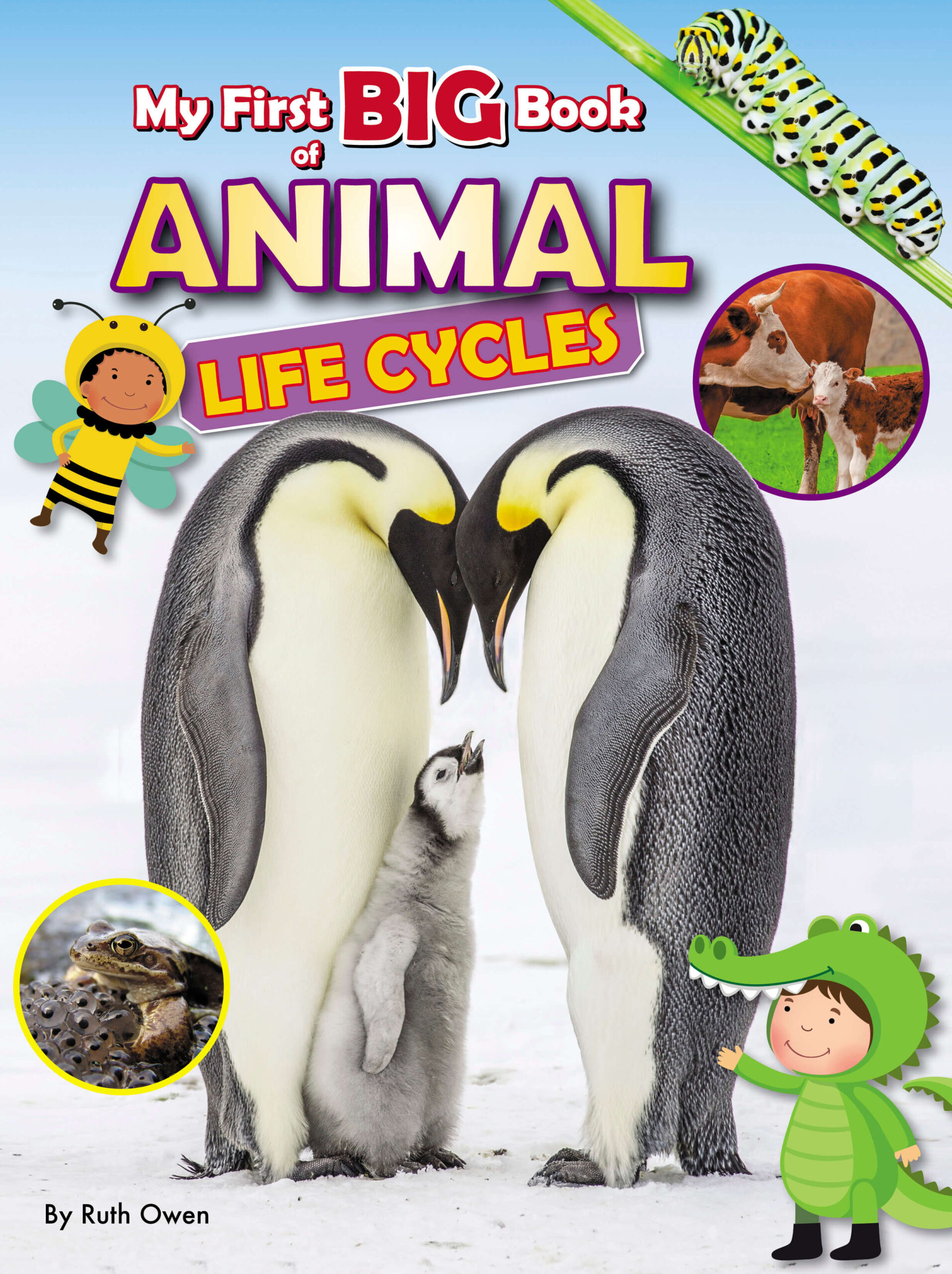 Website Cover image - My First BIG Book of Animal Life Cycles